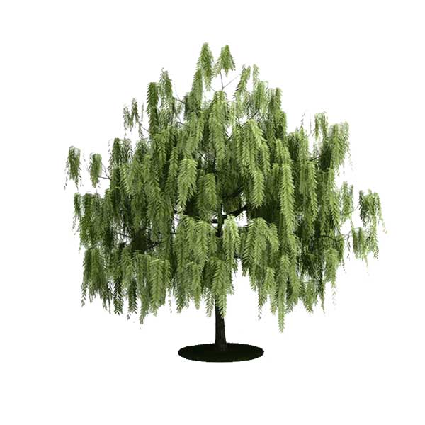 free tree 3d model