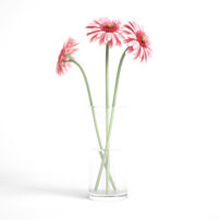 free 3d model flower