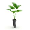 free 3d model plant no 43
