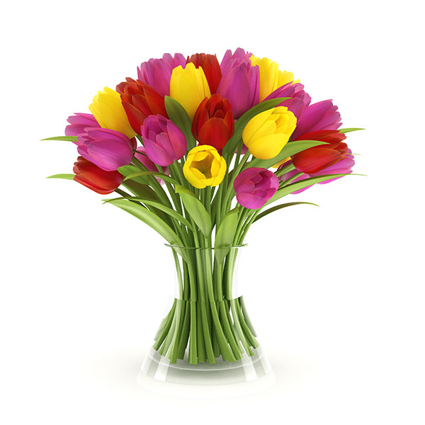 free 3d model tulip